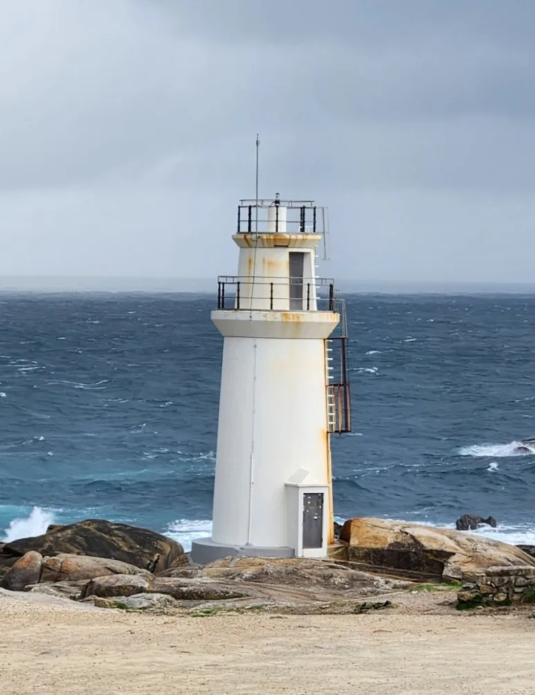 1729796524908.jpg?type=w773