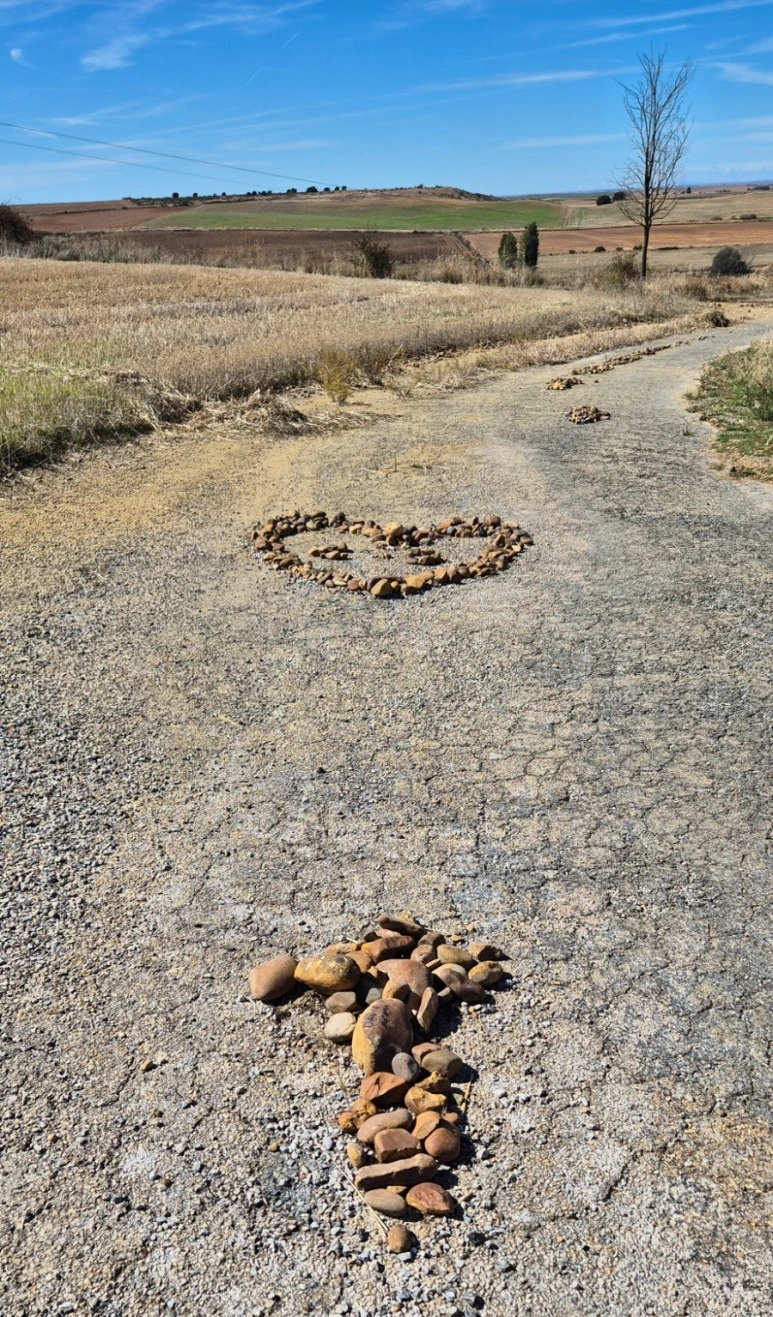 1727714428419%EF%BC%8D8.jpg?type=w773