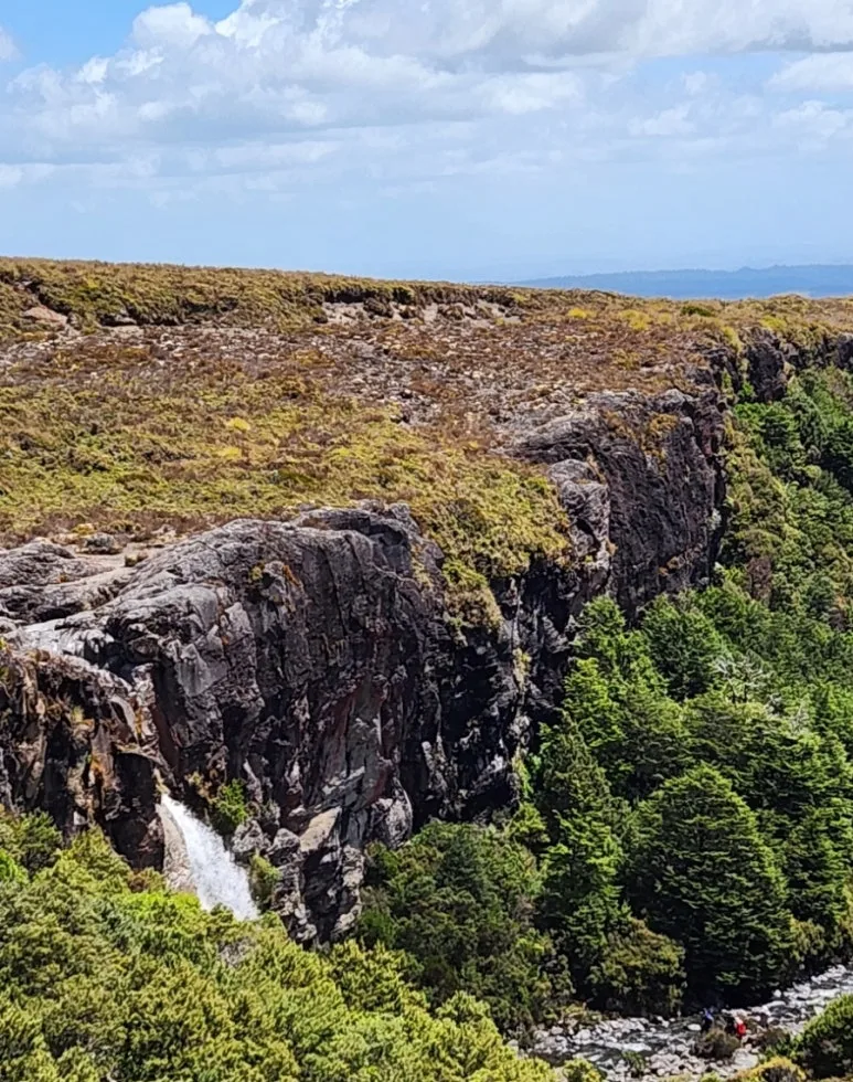 900%EF%BC%BF1738139090563.jpg?type=w773