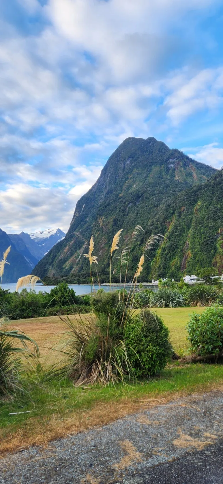 900%EF%BC%BF1737435224294%EF%BC%8D12.jpg?type=w773