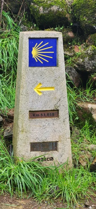 20241016%EF%BC%BF115648.jpg?type=w386