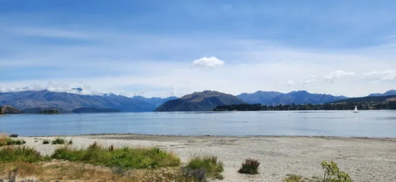 900%EF%BC%BF20250124%EF%BC%BF115249.jpg?type=w773