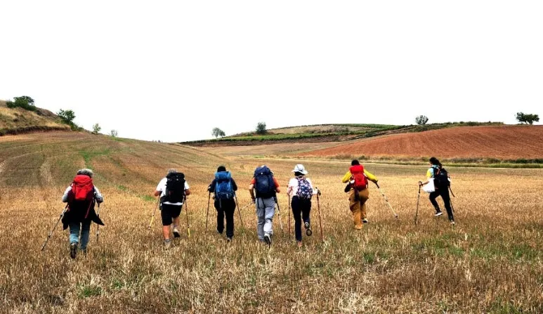 1726775450114.jpg?type=w773