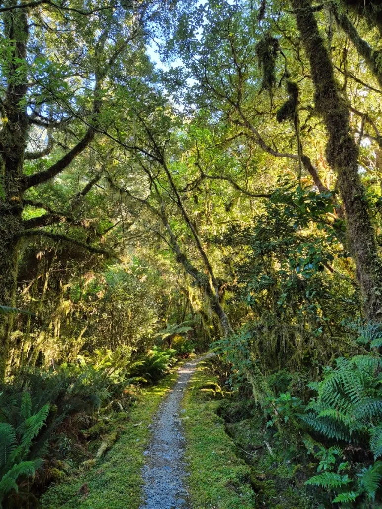 900%EF%BC%BF1737434405302%EF%BC%8D6.jpg?type=w773