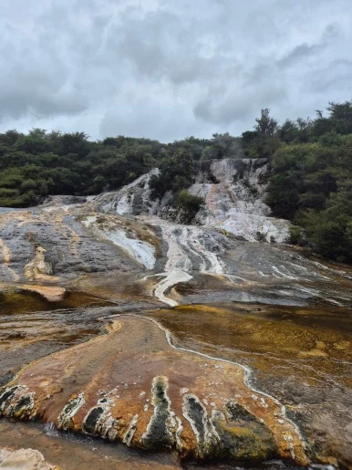 900%EF%BC%BF1737863972062%EF%BC%8D23.jpg?type=w386