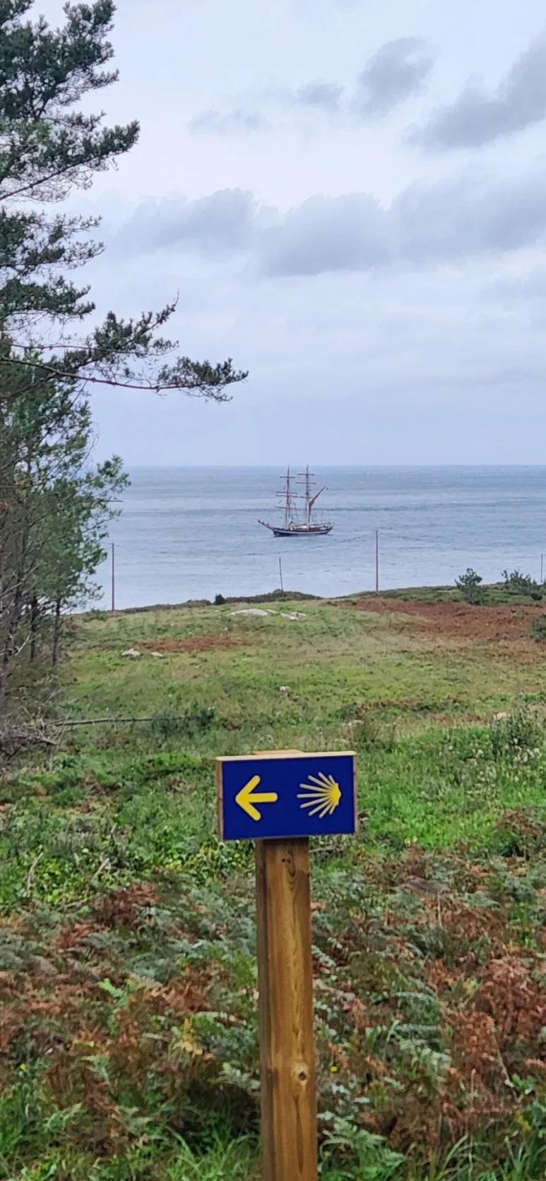 20241024%EF%BC%BF145020.jpg?type=w773