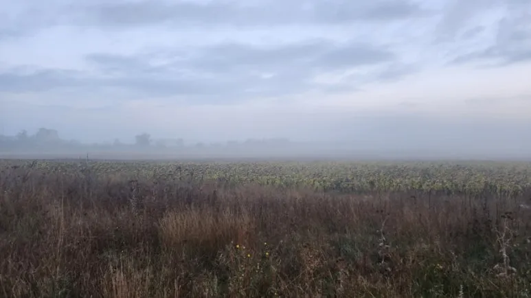 20240923%EF%BC%BF075950.jpg?type=w773