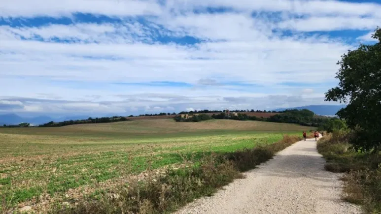 20240911%EF%BC%BF102422.jpg?type=w773