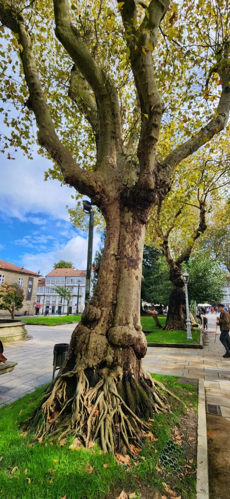 20241021%EF%BC%BF133511.jpg?type=w773