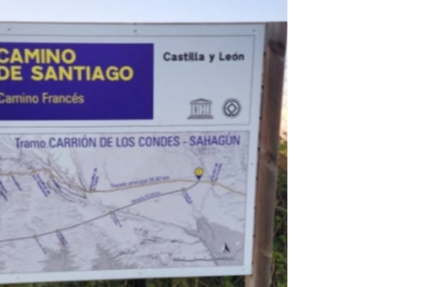 20240930%EF%BC%BF081506.jpg?type=w773