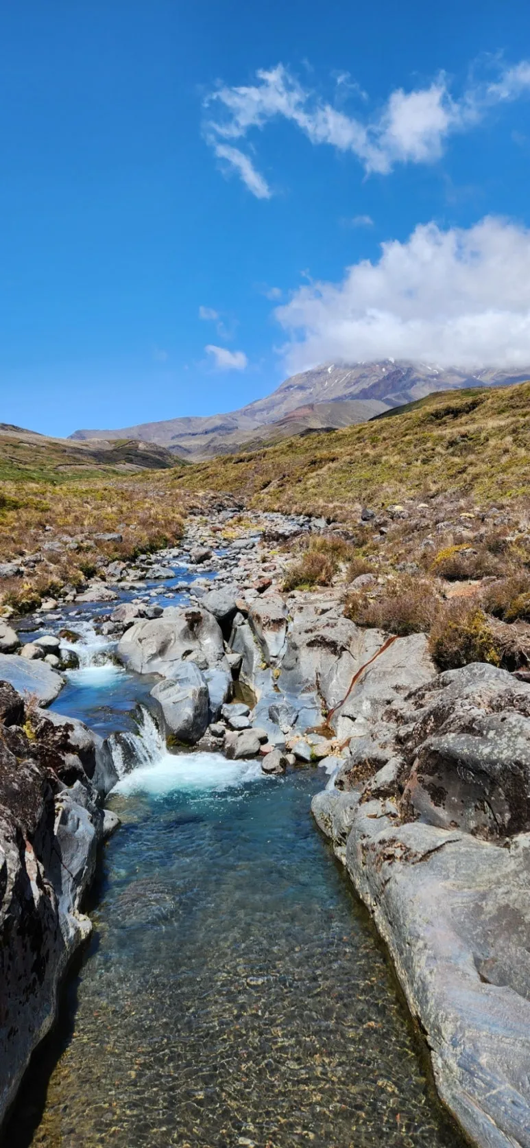 900%EF%BC%BF1737963203058%EF%BC%8D5.jpg?type=w773