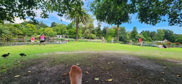 900%EF%BC%BF20250111%EF%BC%BF160139.jpg?type=w773