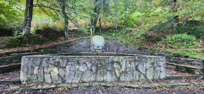 20241013%EF%BC%BF090527.jpg?type=w773