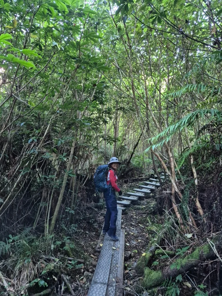 900%EF%BC%BF1737626599575.jpg?type=w773