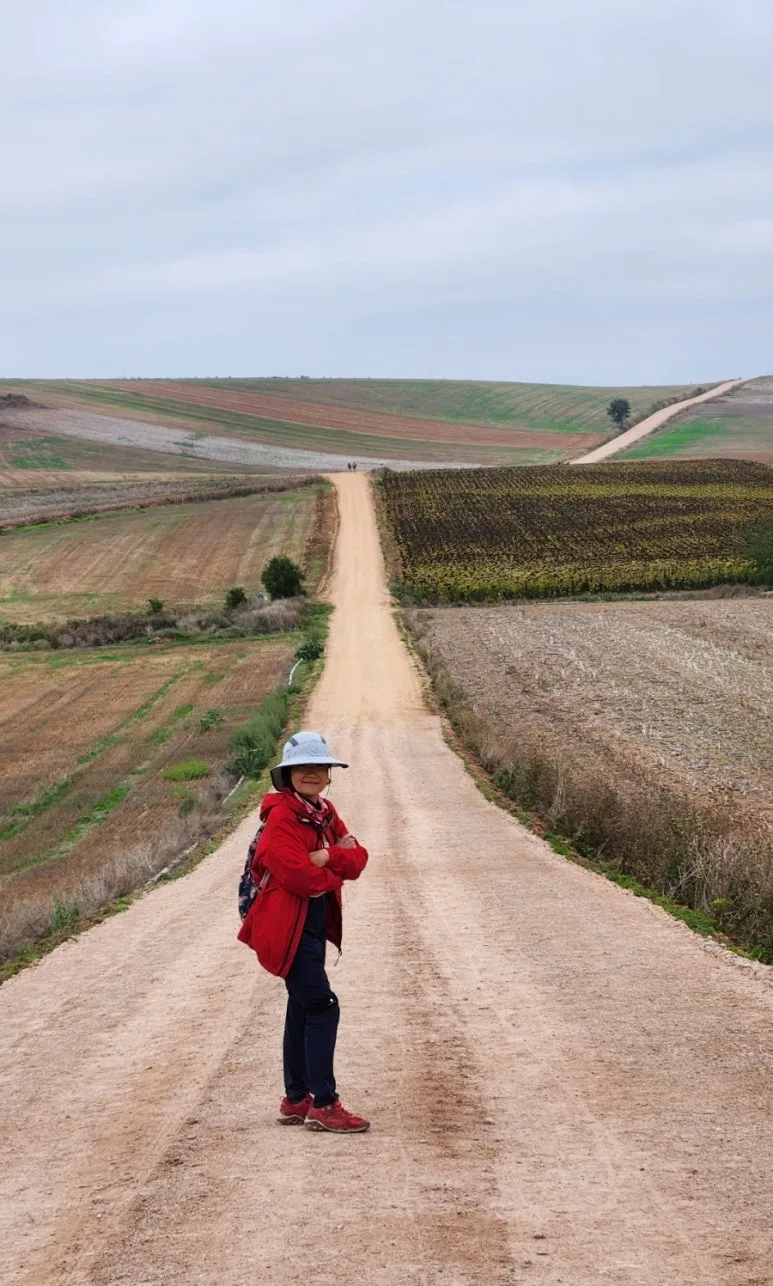 1726776277883.jpg?type=w773