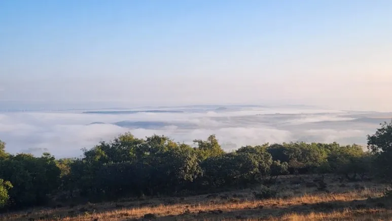 20240923%EF%BC%BF085251.jpg?type=w773