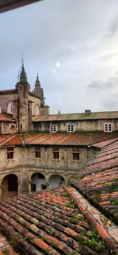 20241026%EF%BC%BF190827.jpg?type=w386