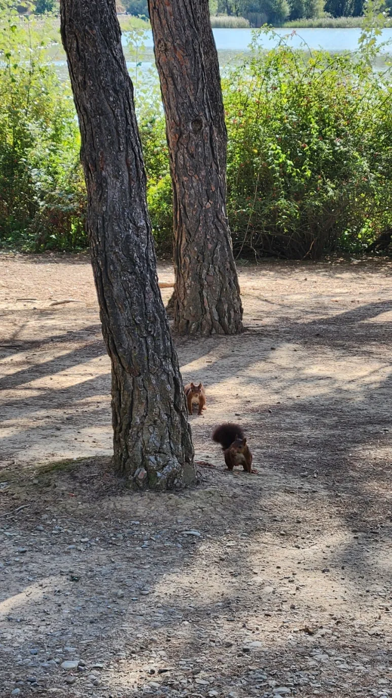 20240917%EF%BC%BF113604.jpg?type=w773