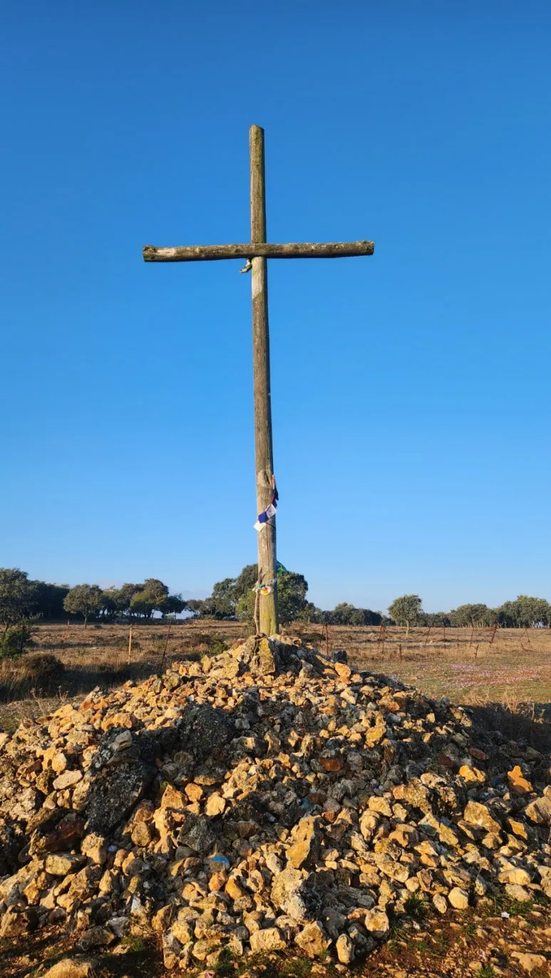 20240923%EF%BC%BF085618.jpg?type=w773