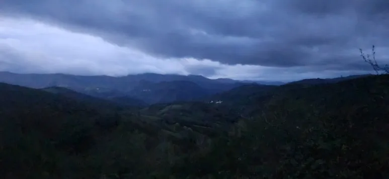 20241012%EF%BC%BF081821.jpg?type=w773