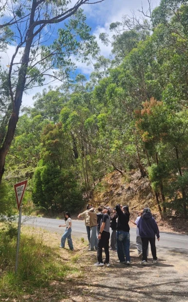 900%EF%BC%BF1736770844237.jpg?type=w386