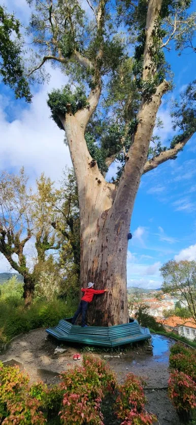 20241021%EF%BC%BF130214.jpg?type=w386