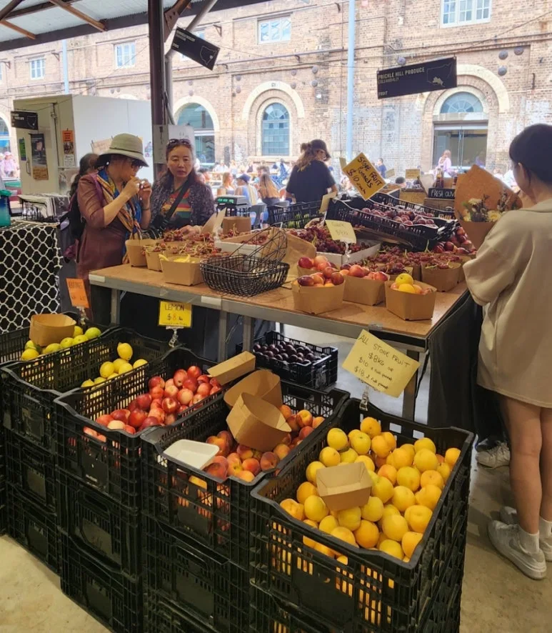 900%EF%BC%BF1738492877485.jpg?type=w773