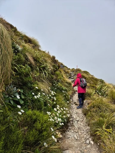 900%EF%BC%BF1737447682012%EF%BC%8D28.jpg?type=w386