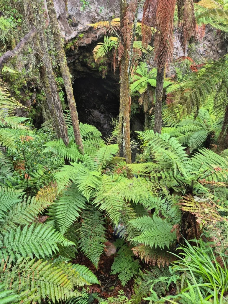 900%EF%BC%BF1737863972062%EF%BC%8D6.jpg?type=w773