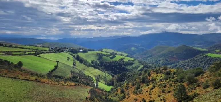 20241011%EF%BC%BF113837.jpg?type=w773