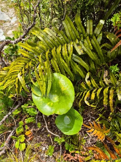 900%EF%BC%BF1737447722950%EF%BC%8D20.jpg?type=w386