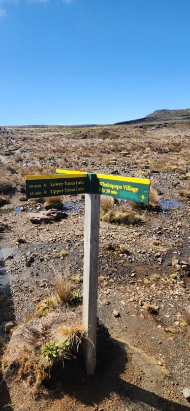 900%EF%BC%BF20250127%EF%BC%BF103411.jpg?type=w386