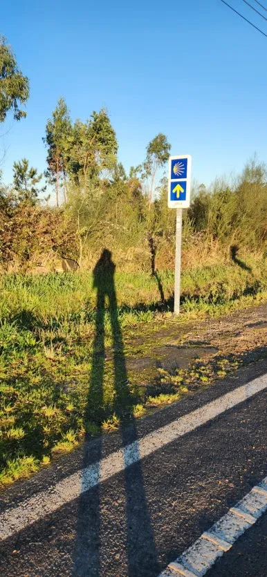 20241023%EF%BC%BF093914.jpg?type=w386