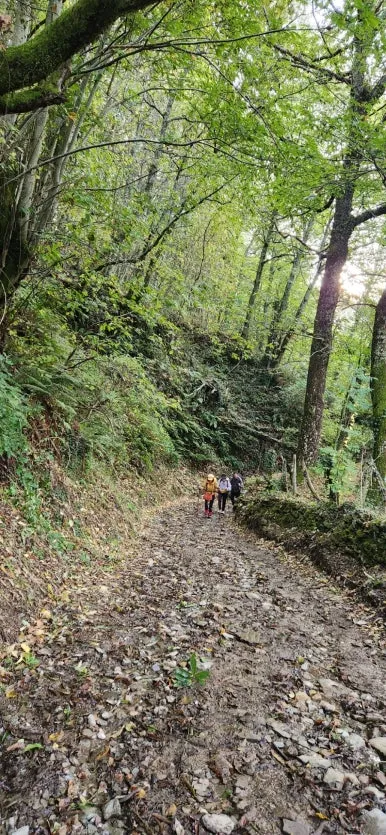 20241011%EF%BC%BF095025.jpg?type=w386