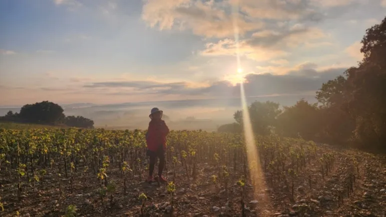 20240923%EF%BC%BF084146.jpg?type=w773