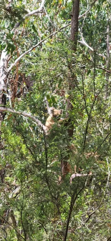 900%EF%BC%BF20250113%EF%BC%BF124128.jpg?type=w386