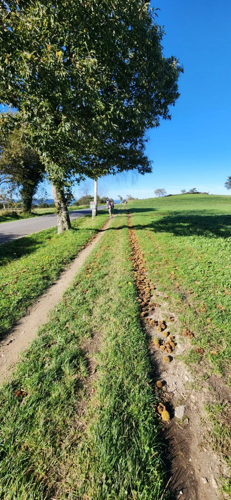 20241013%EF%BC%BF112722.jpg?type=w773