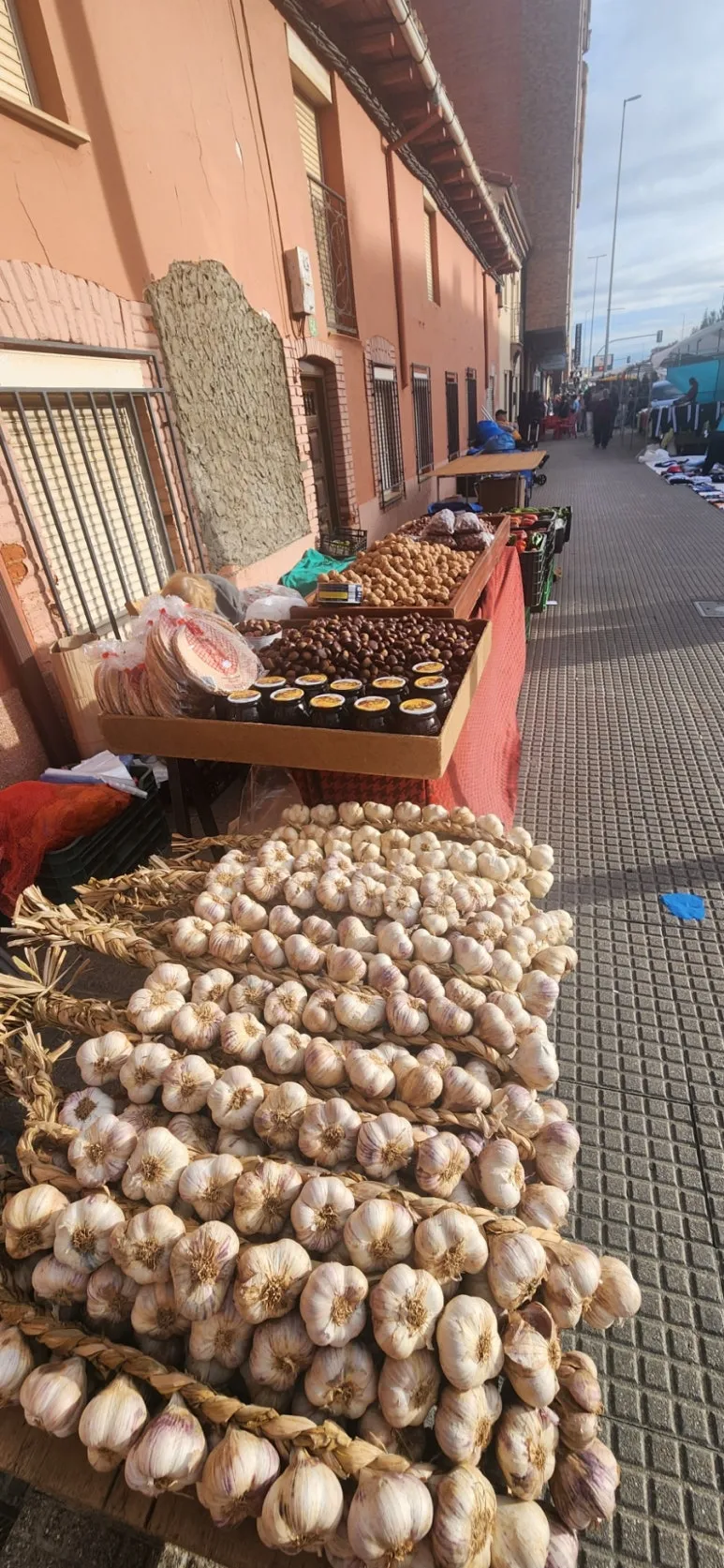 20241005%EF%BC%BF101241.jpg?type=w773