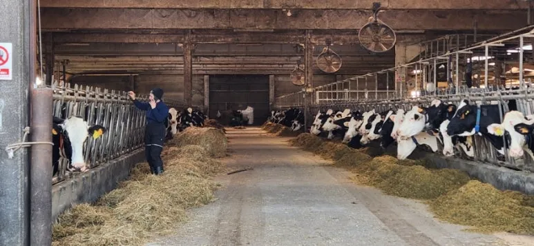 20241023%EF%BC%BF125545.jpg?type=w773