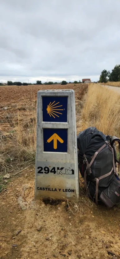 20241005%EF%BC%BF135433.jpg?type=w386