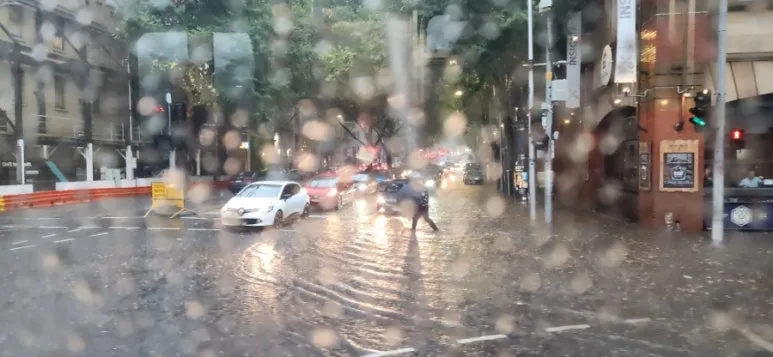 900%EF%BC%BF20250112%EF%BC%BF122927.jpg?type=w773