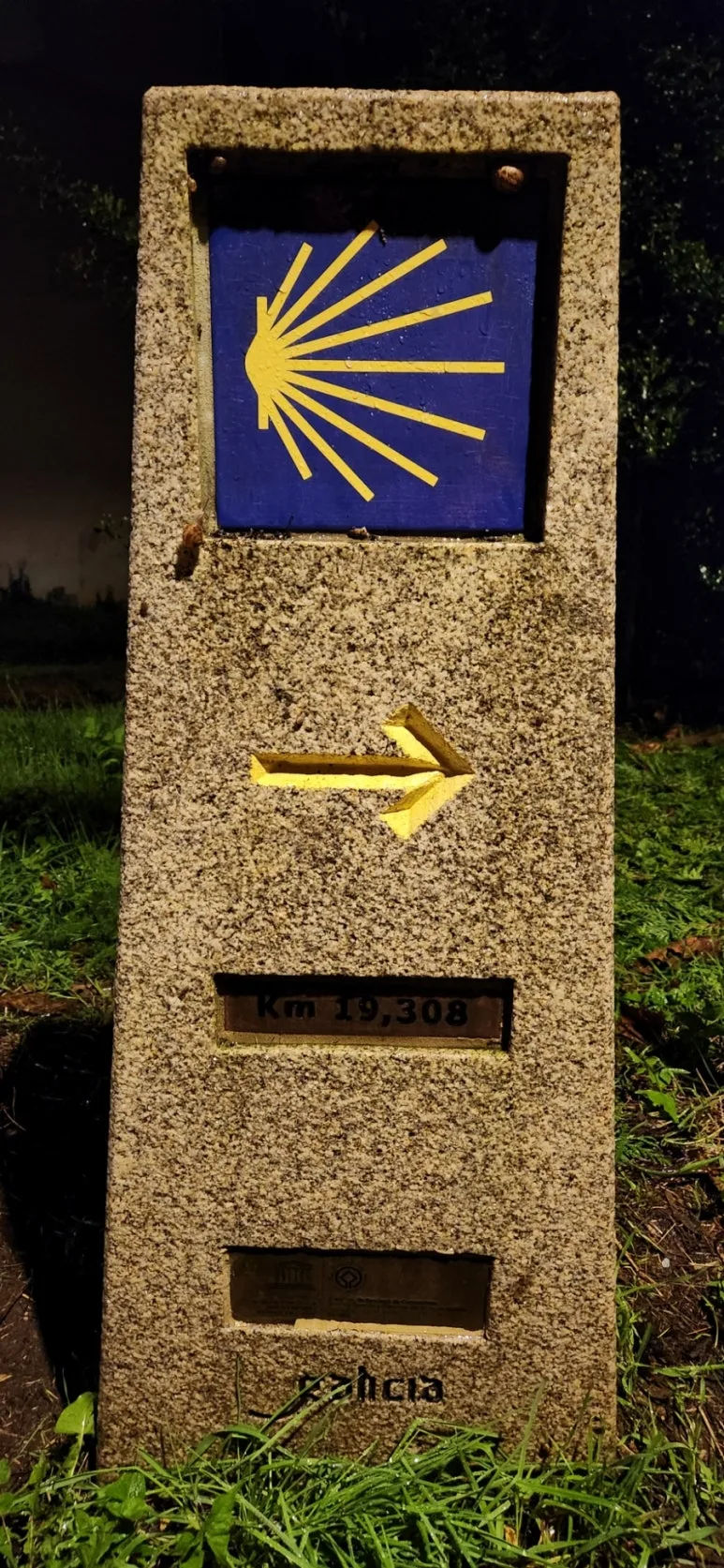 20241019%EF%BC%BF075451.jpg?type=w773