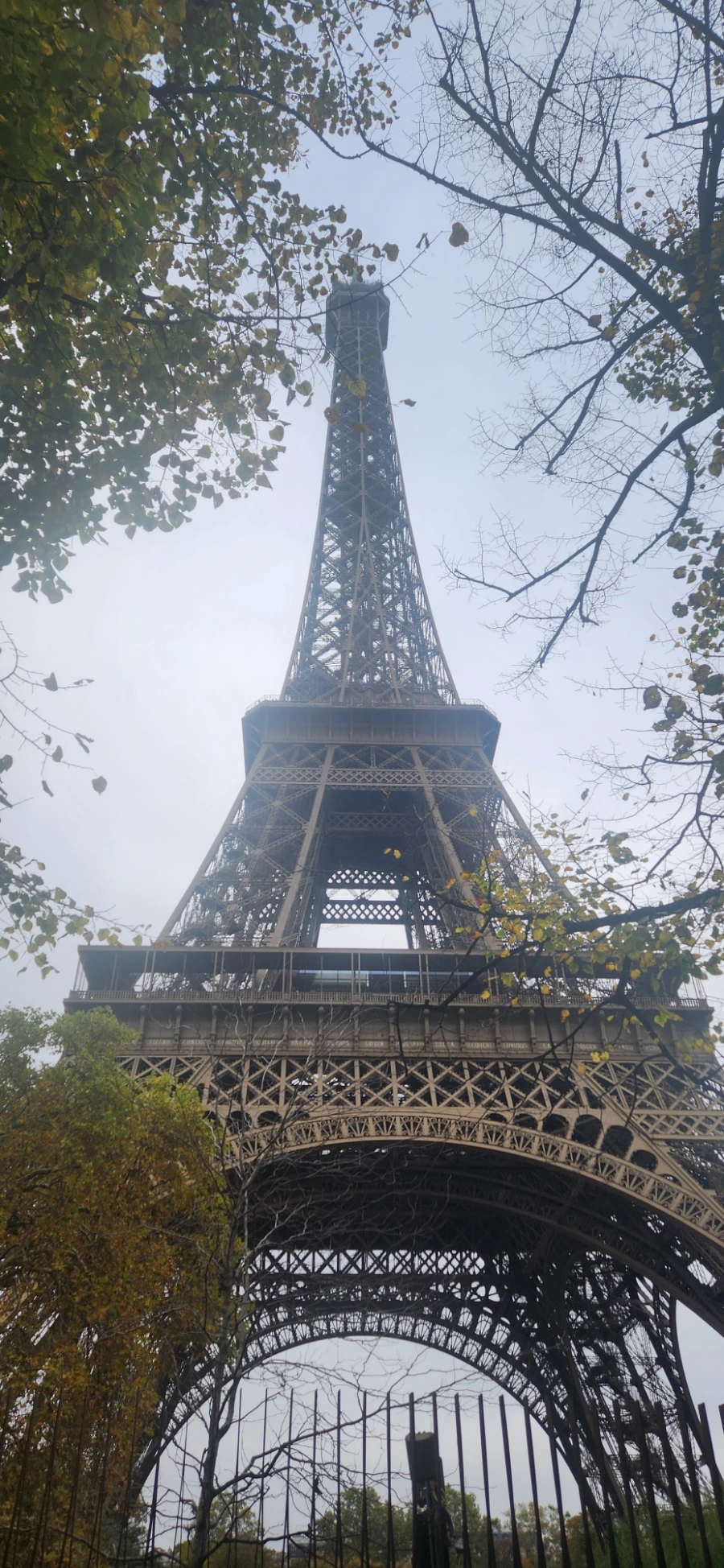 20241029%EF%BC%BF115548.jpg?type=w1