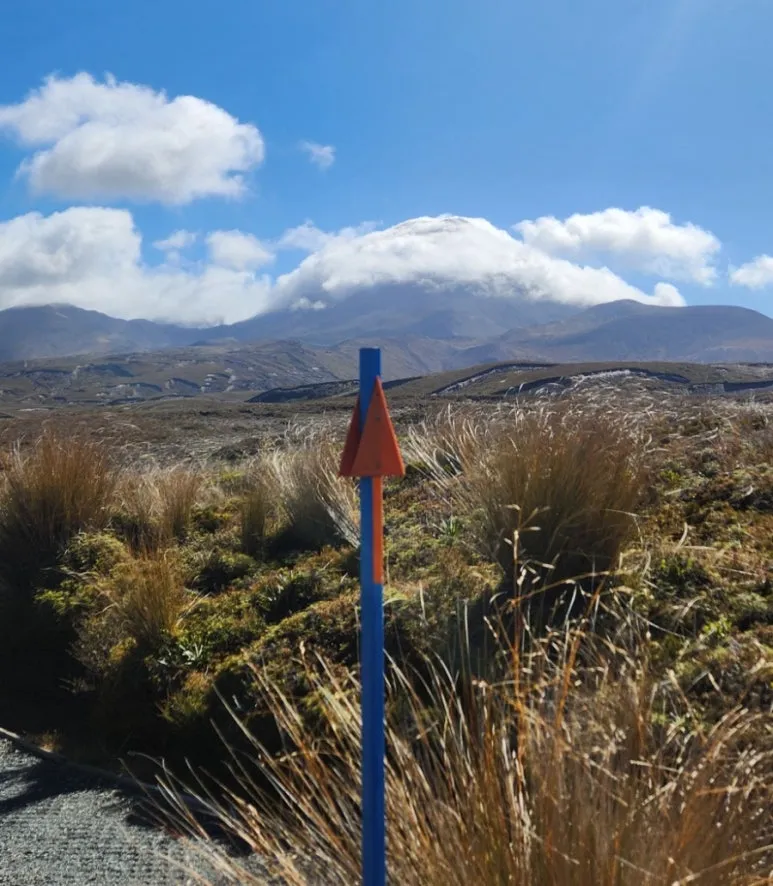 900%EF%BC%BF1738139012215.jpg?type=w773