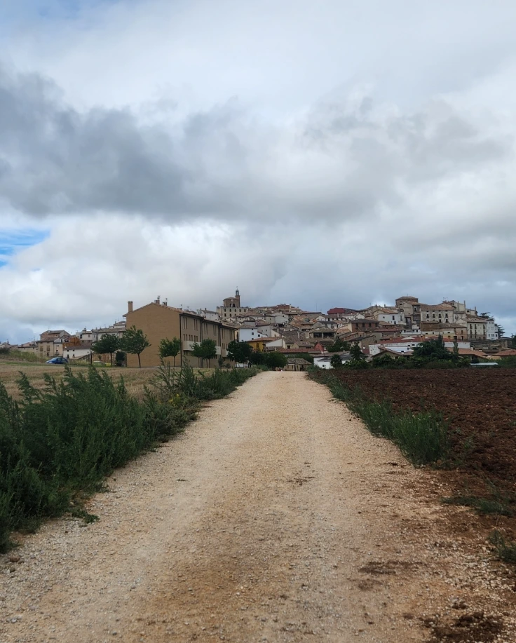 20240912%EF%BC%BF121049.jpg?type=w1