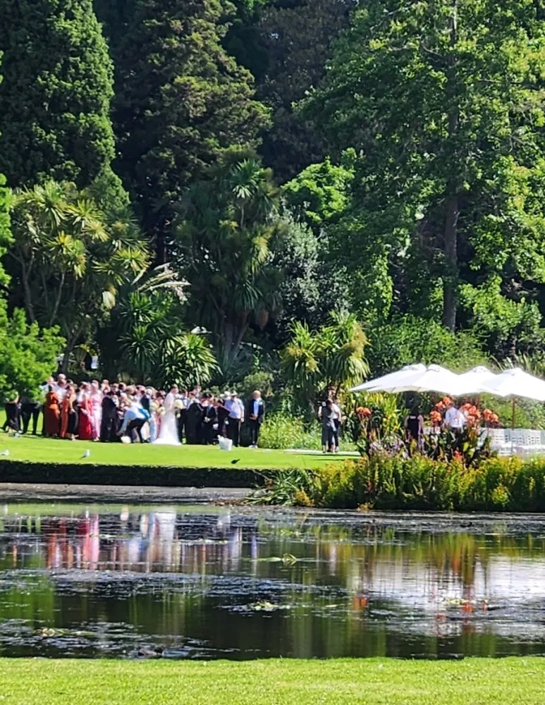 900%EF%BC%BF1736594420840.jpg?type=w773