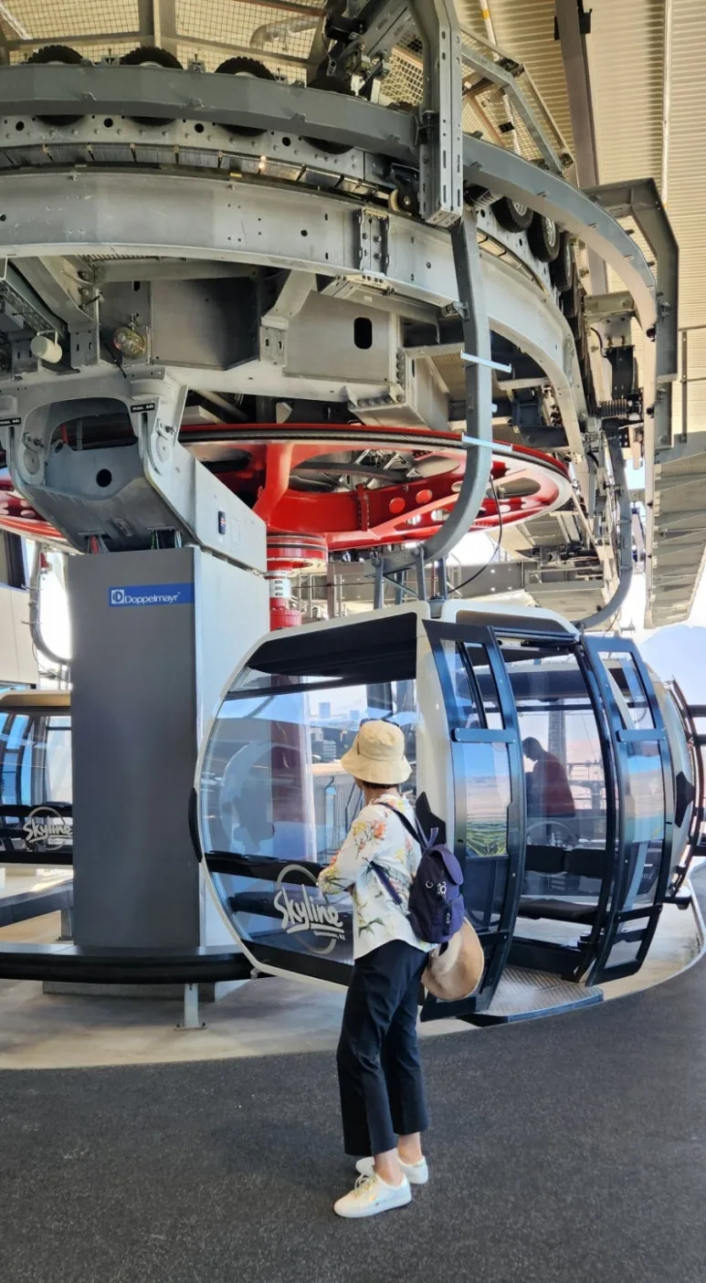 900%EF%BC%BF1737794056161.jpg?type=w773