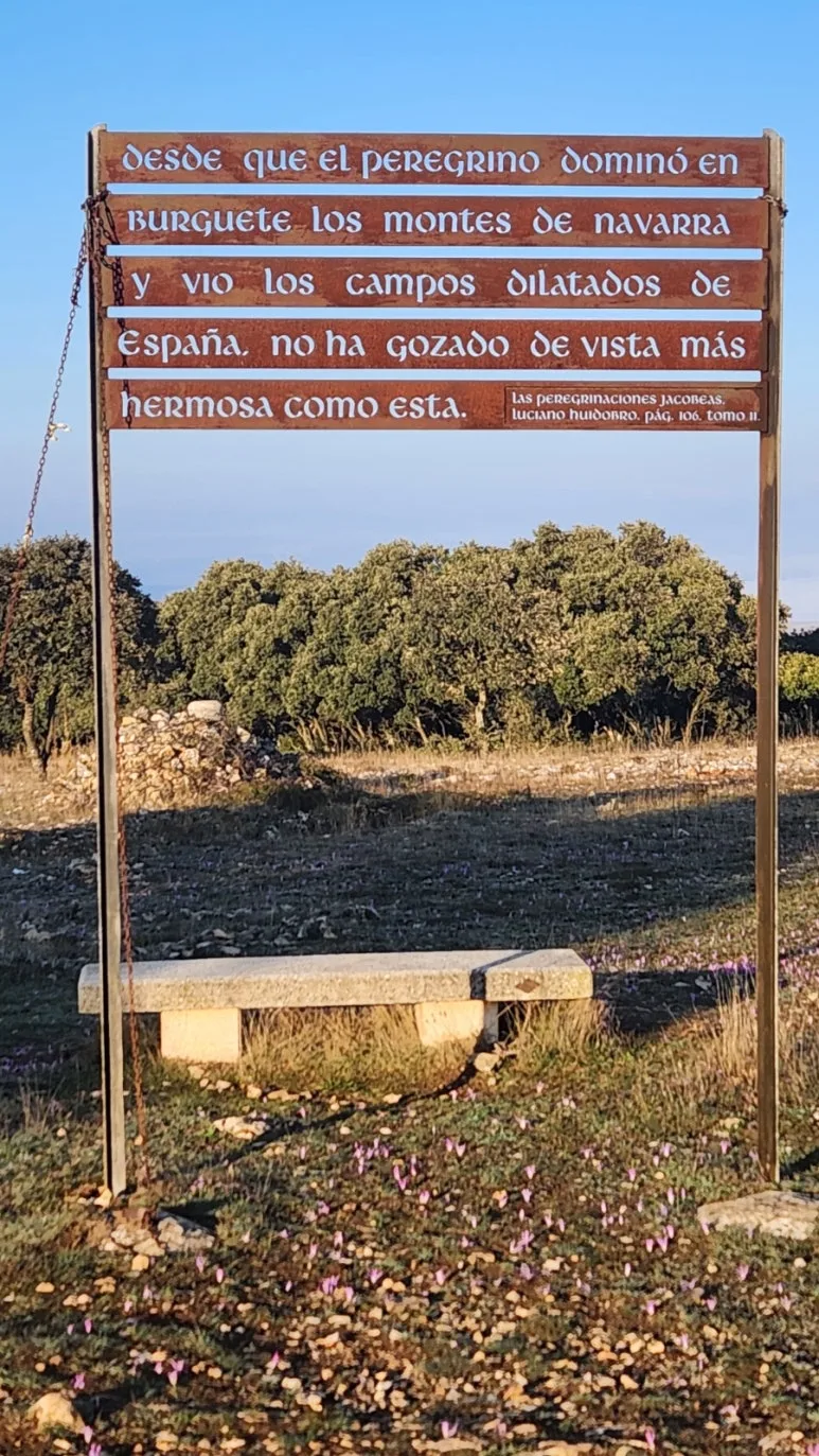 20240923%EF%BC%BF090239.jpg?type=w773