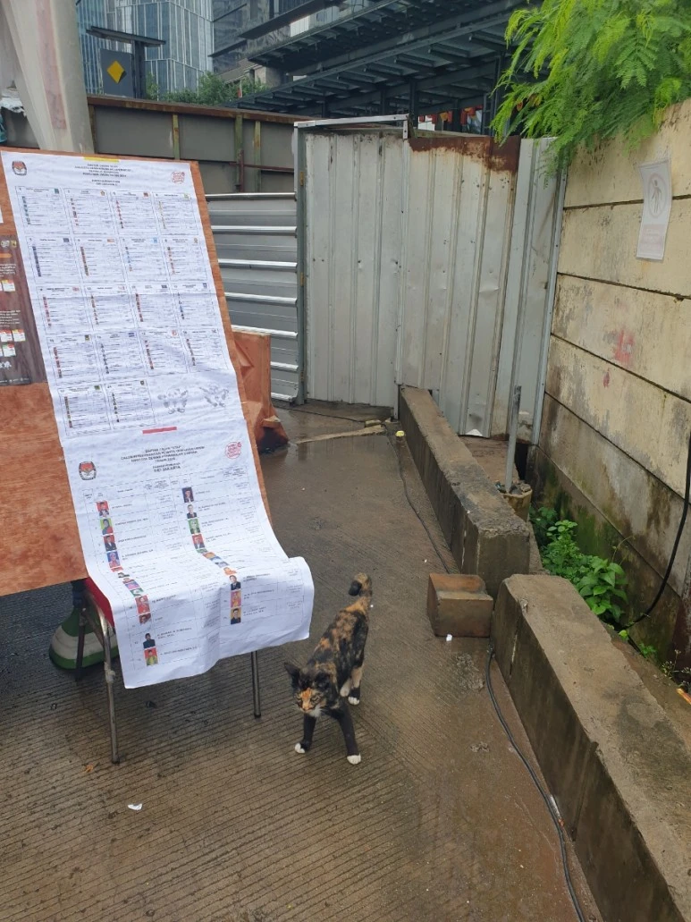 20240214%EF%BC%BF085804.jpg?type=w773