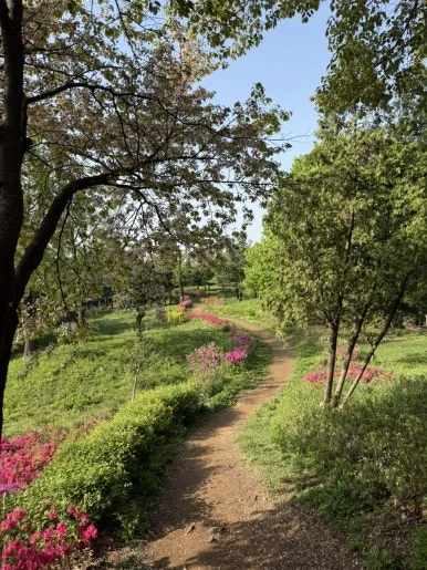 IMG_2658.jpg?type=w386